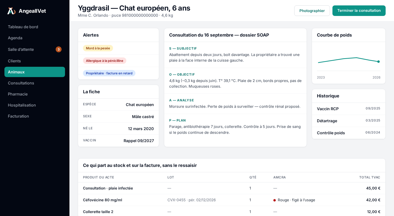 Une consultation dans AngeallVet : dossier SOAP, alertes, courbe de poids et lignes de traitement.